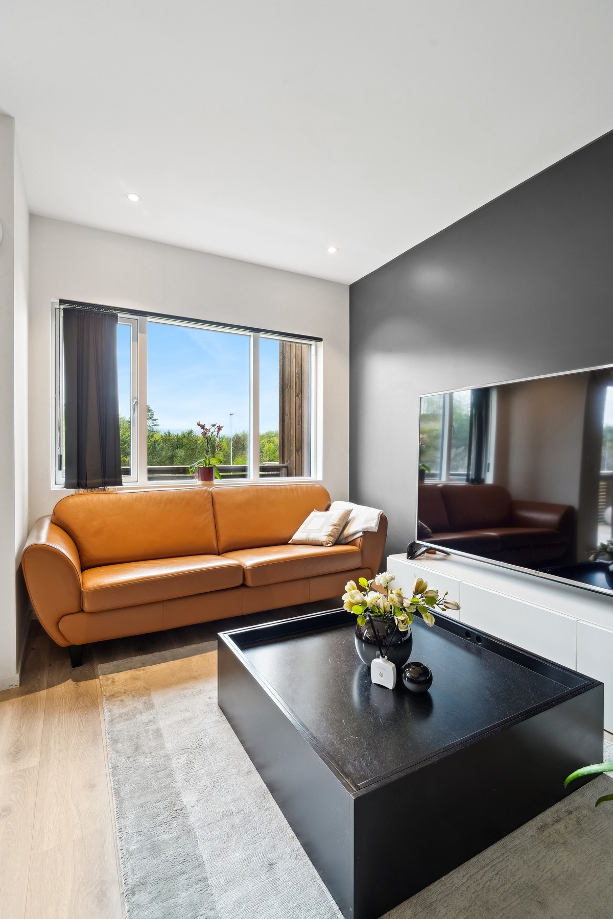 Avskjermet TV-stue. Galleribilde