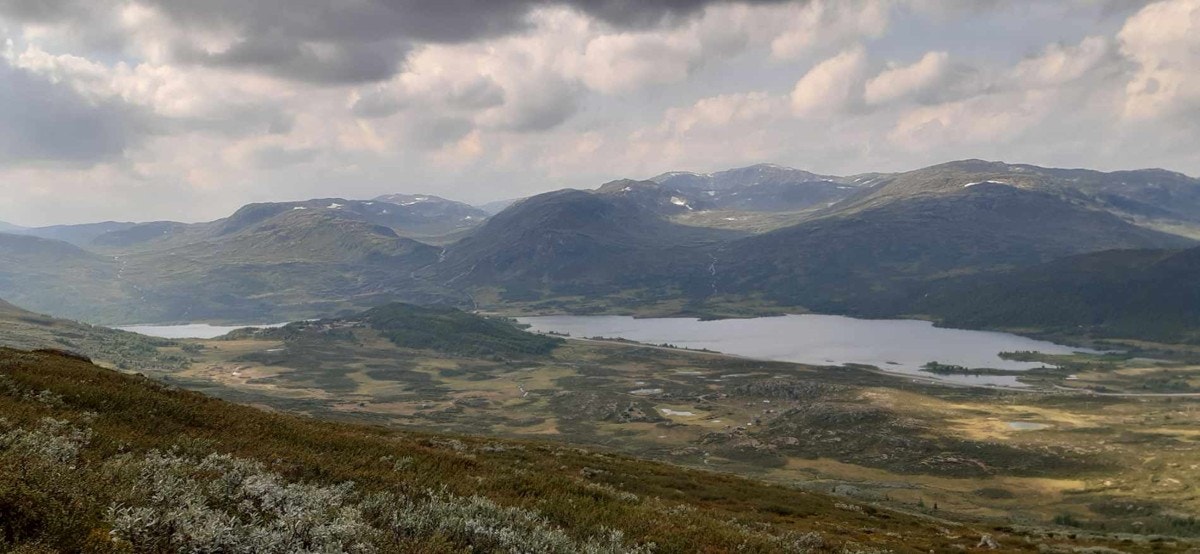 Kongevegen Galleribilde