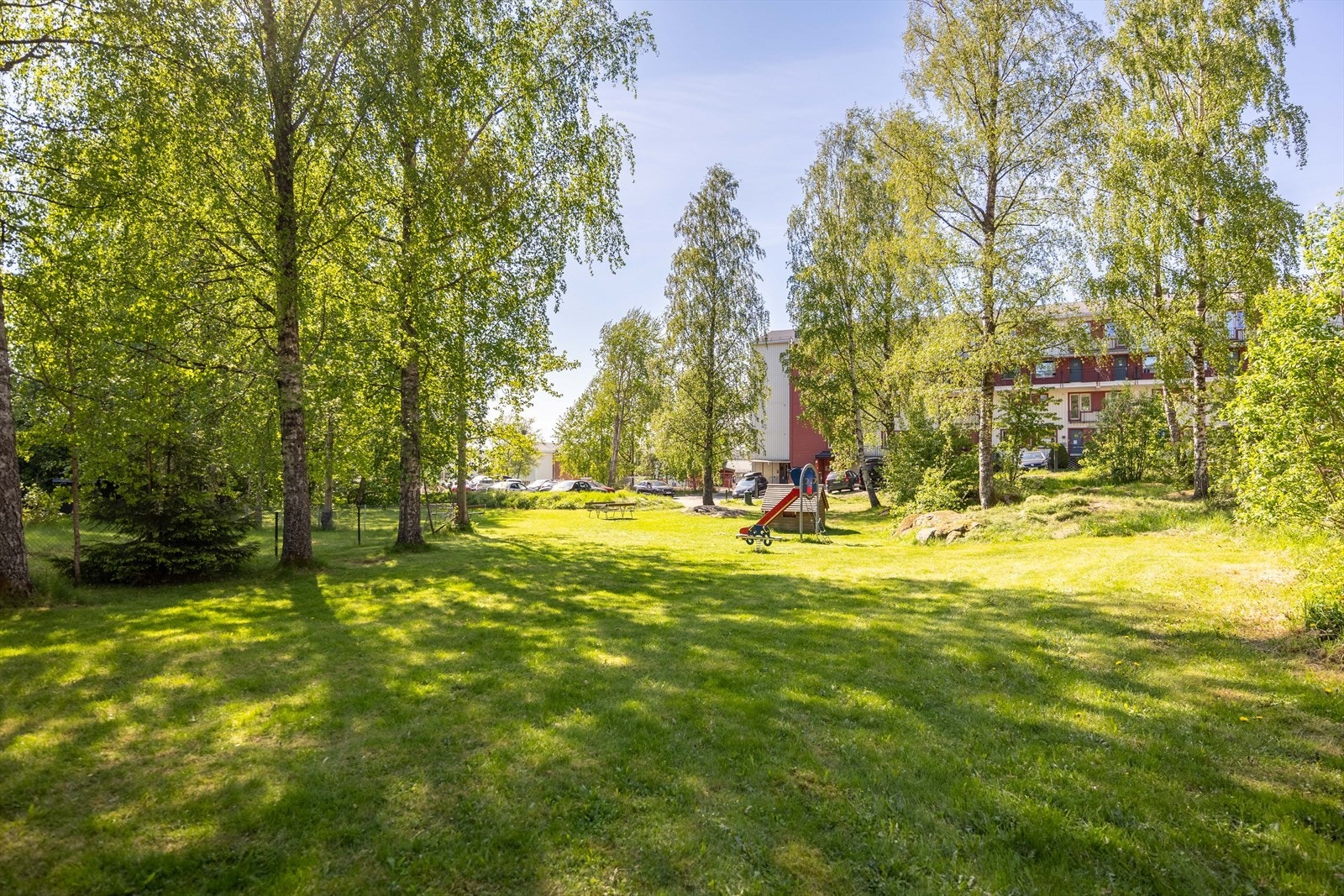 Fra leiligheten er det kort vei til flotte turområder sommer som vinter Galleribilde