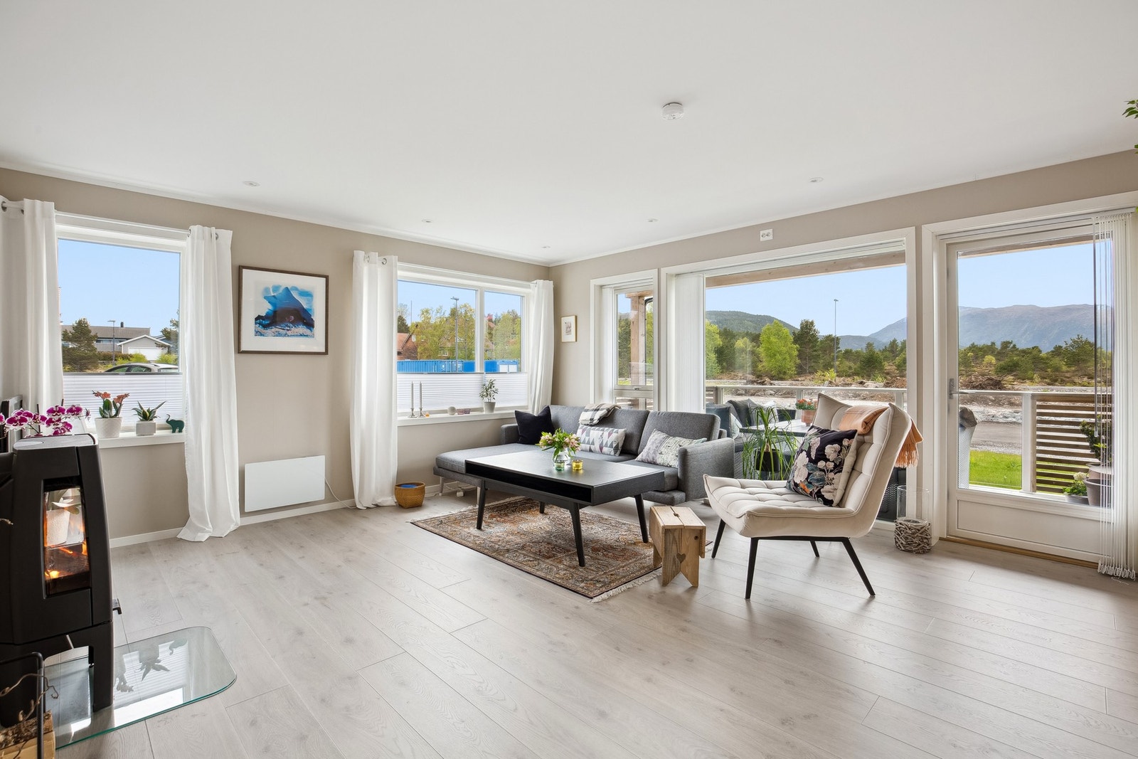 Stue har også vedfyring Galleribilde