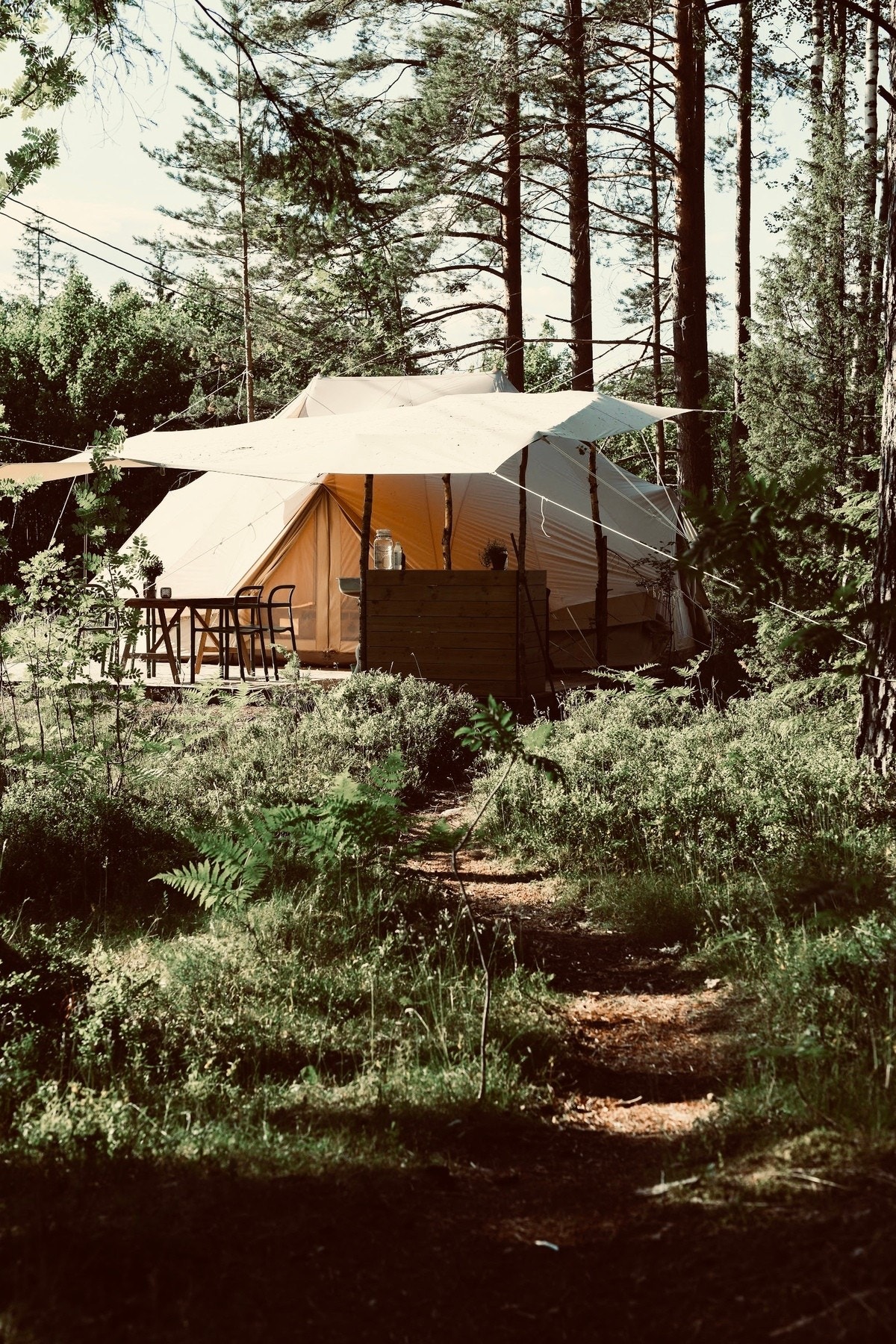 Selgers bilde. Glampingtelt Galleribilde