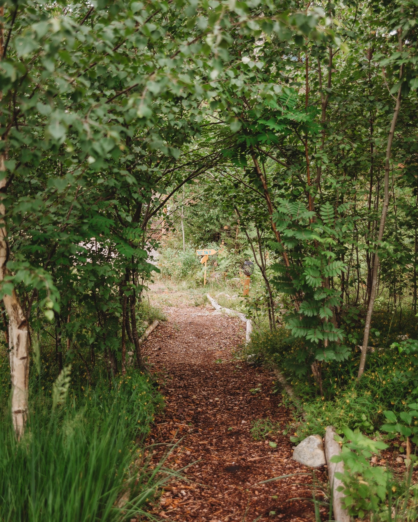 Selgers bilde Galleribilde