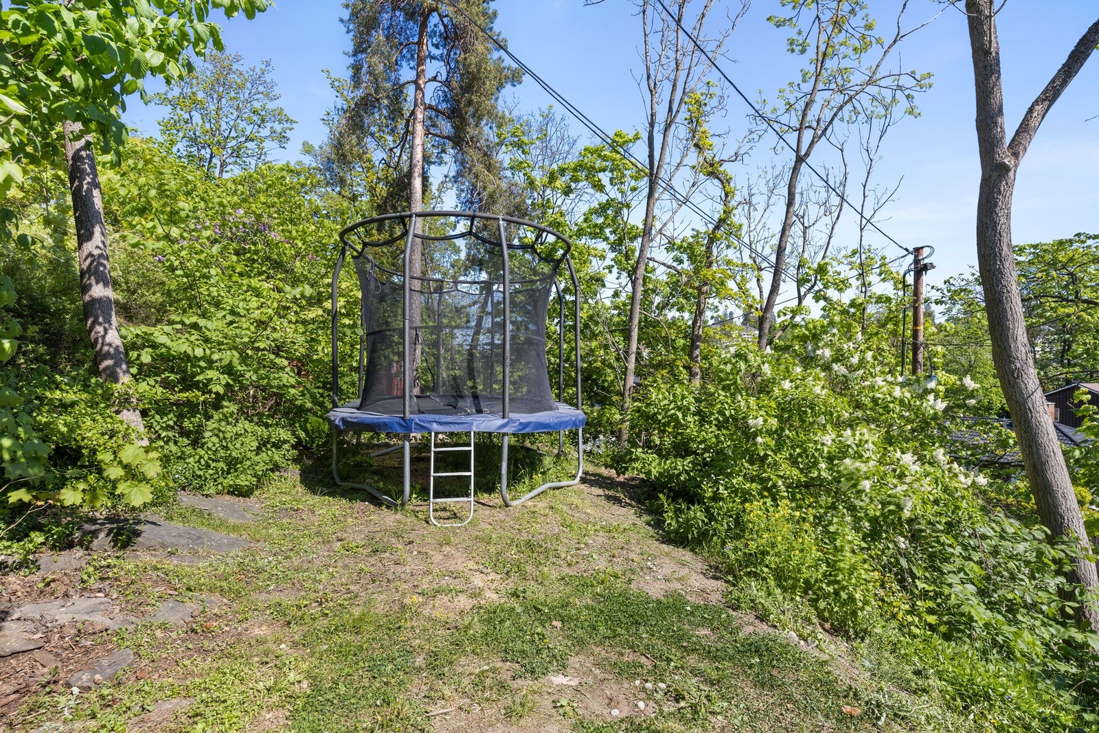 Her er det flere gode muligheter! Galleribilde