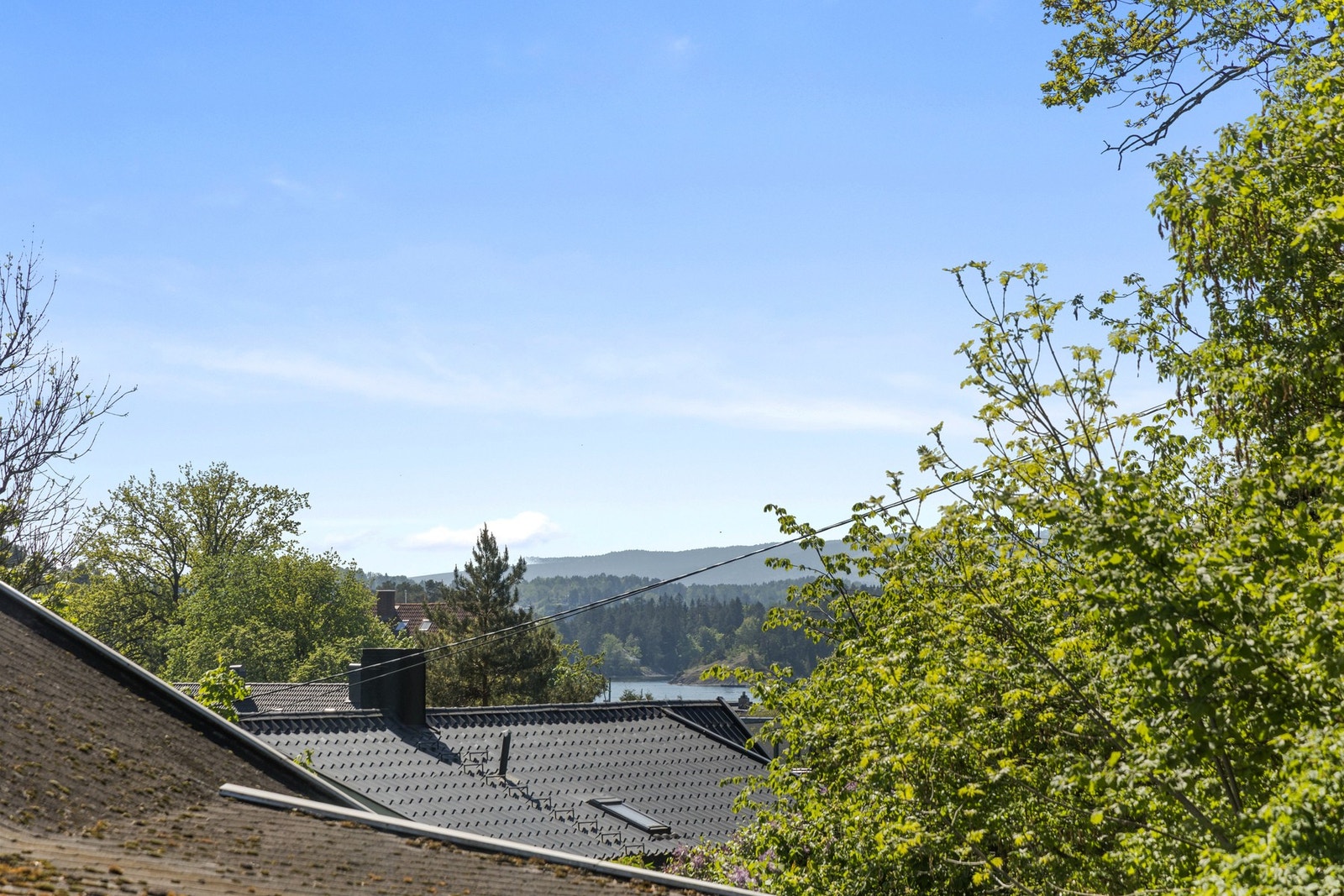 Sjøgløtt. Galleribilde