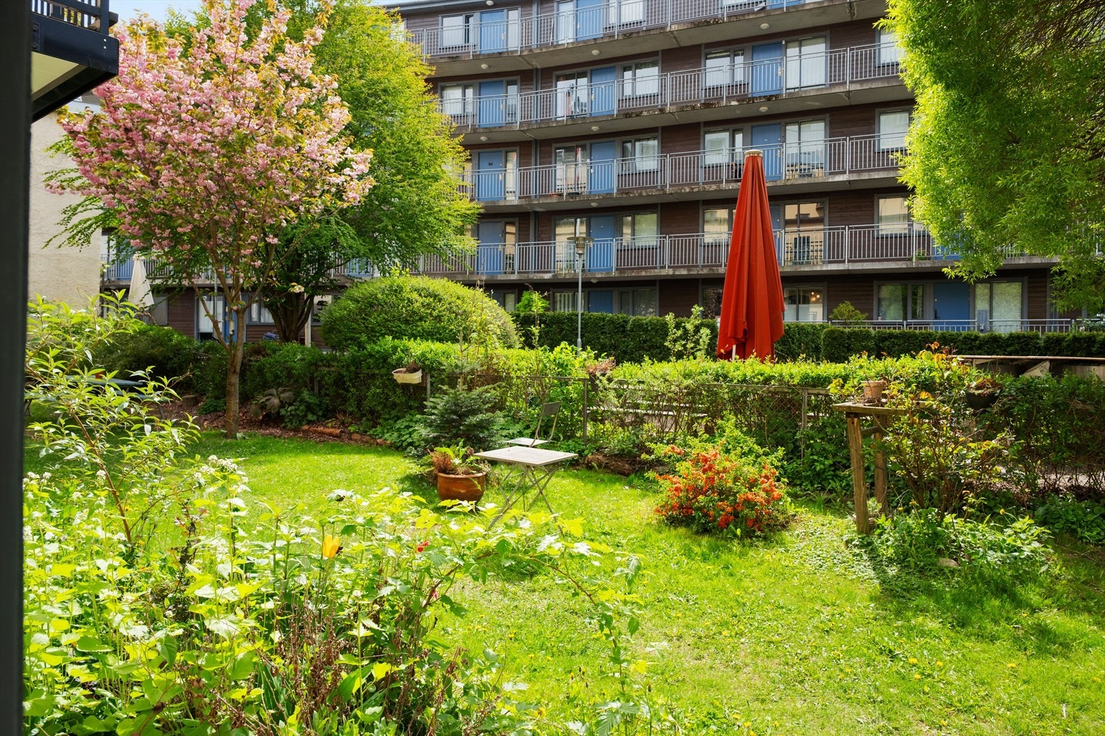 Frodig bakgård som er skjermet for trafikk og støy. Galleribilde