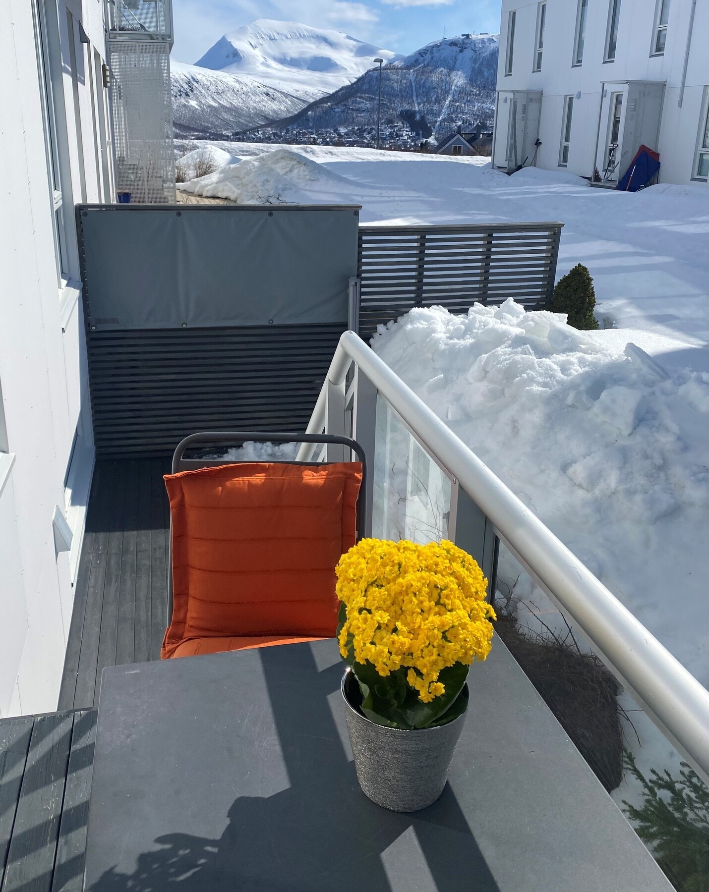 Privat bilde - påskestemning på terrassen Galleribilde