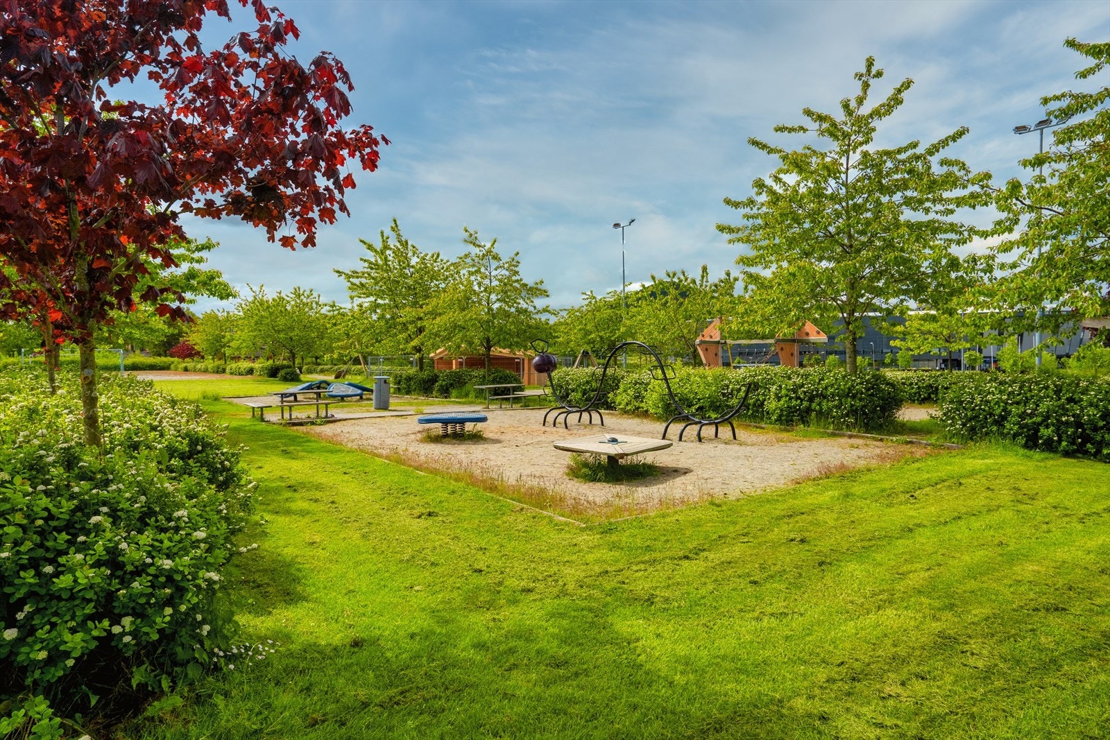 Nærområde Galleribilde