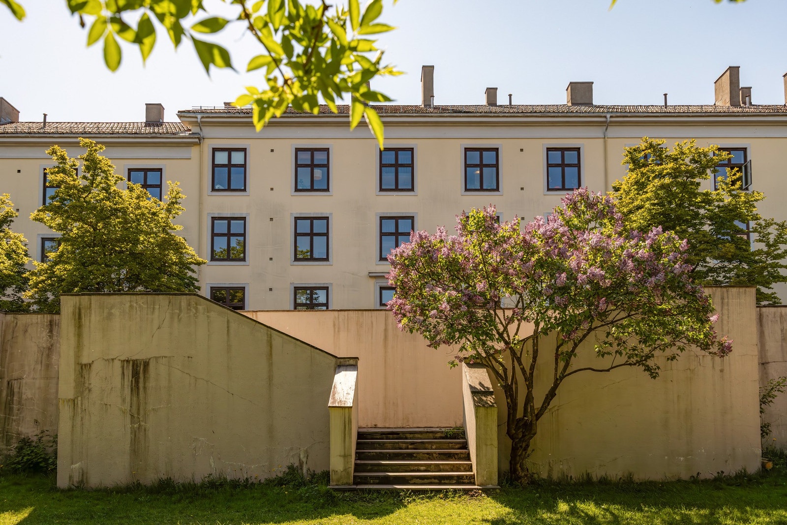 Meget pent opparbeidet, med stor plen, beplantning, sittegrupper og grillplass. Galleribilde