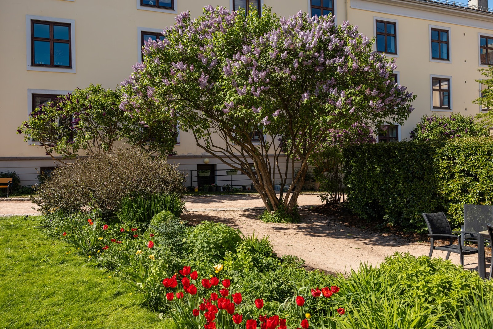 Meget pent opparbeidet, med stor plen, beplantning, sittegrupper og grillplass. Galleribilde