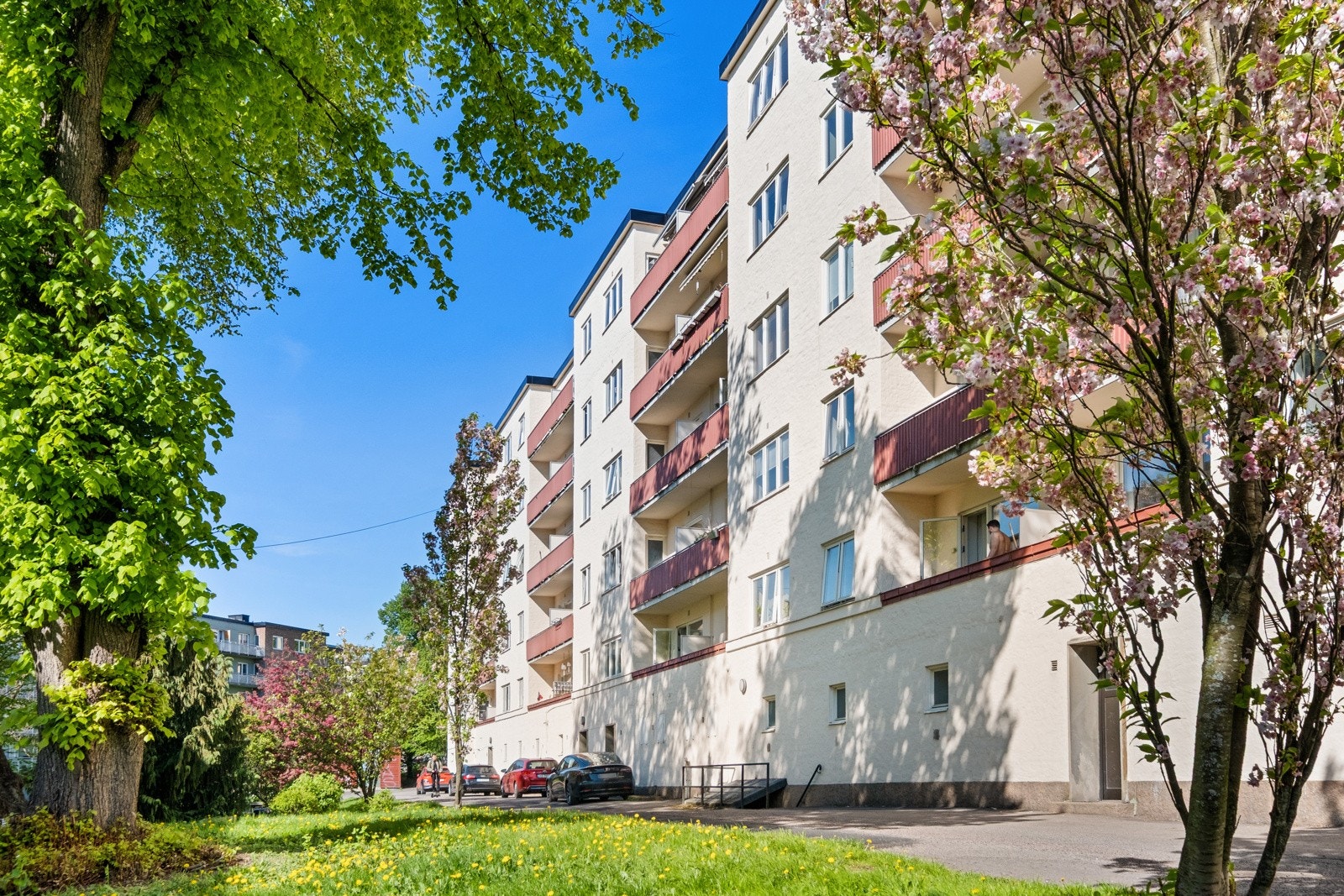 Fra boligen er det kort vei til parker og flotte turområder. Galleribilde