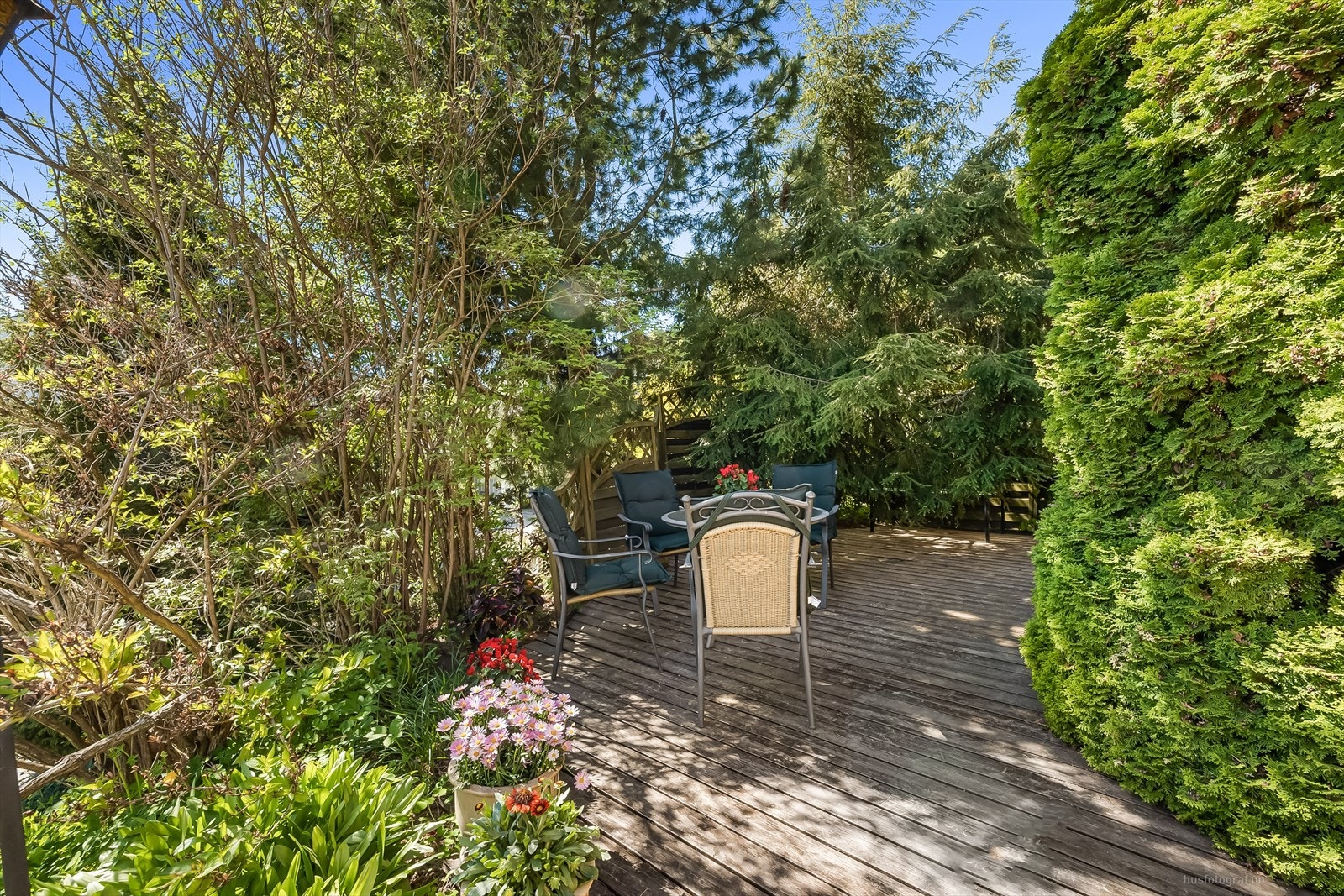 Liten oase i hagen (bilde fra 2024) Galleribilde