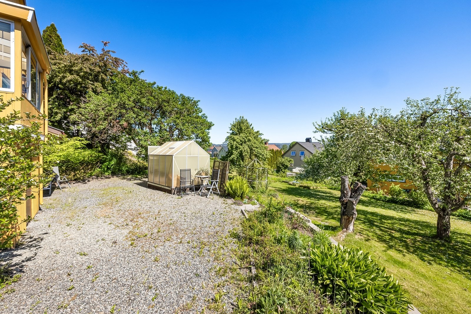 Meget pen hagetomt med prydbusker og frukttrær Galleribilde