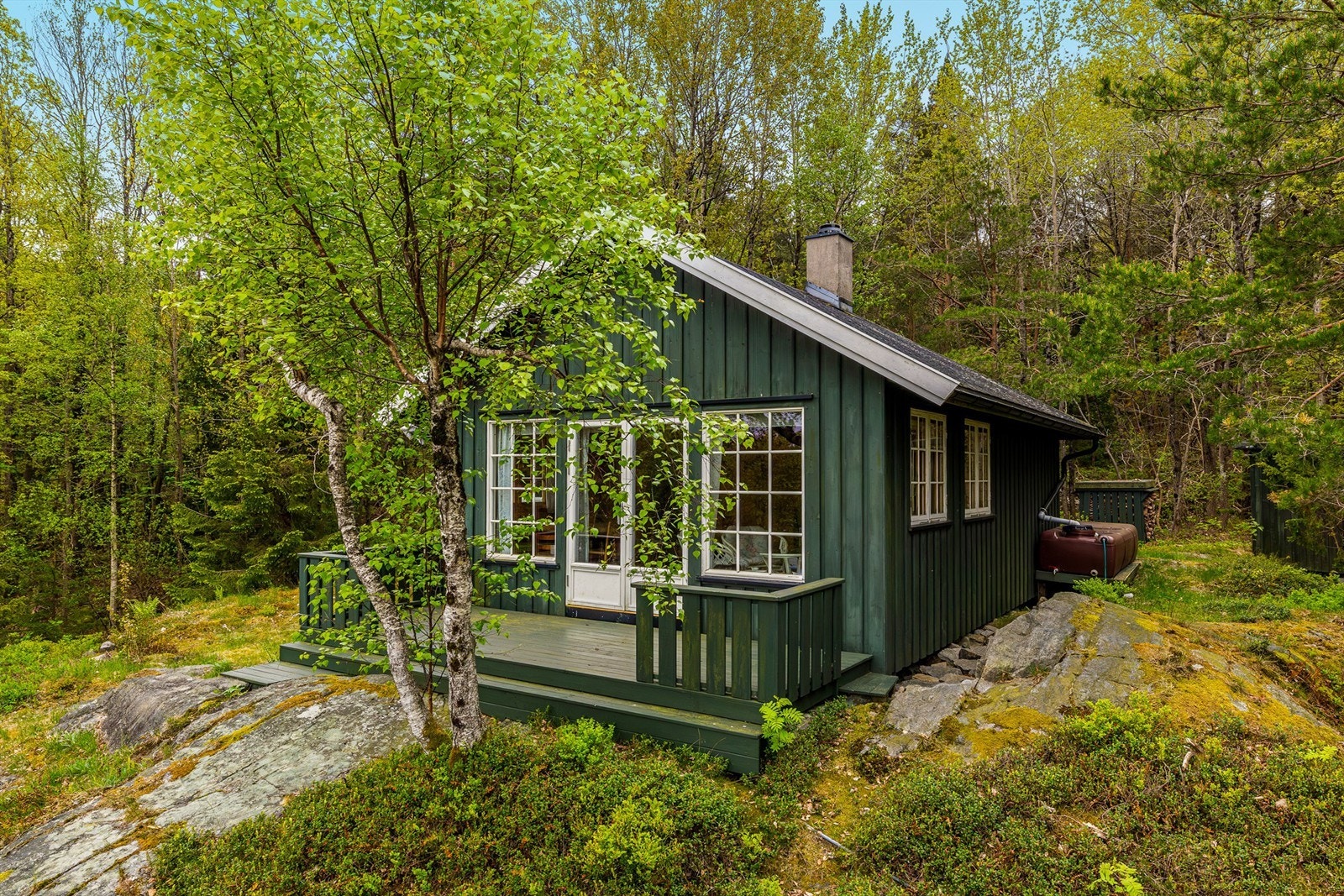 Med naturen som nabo! Galleribilde