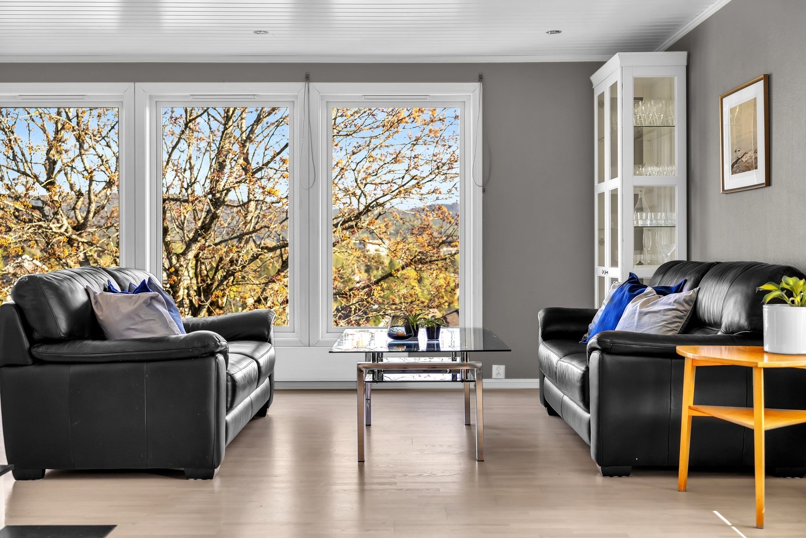 De store vindusflatene mot hagen gir godt med dagslys og knytter inne- og uteområder sømløst sammen Galleribilde