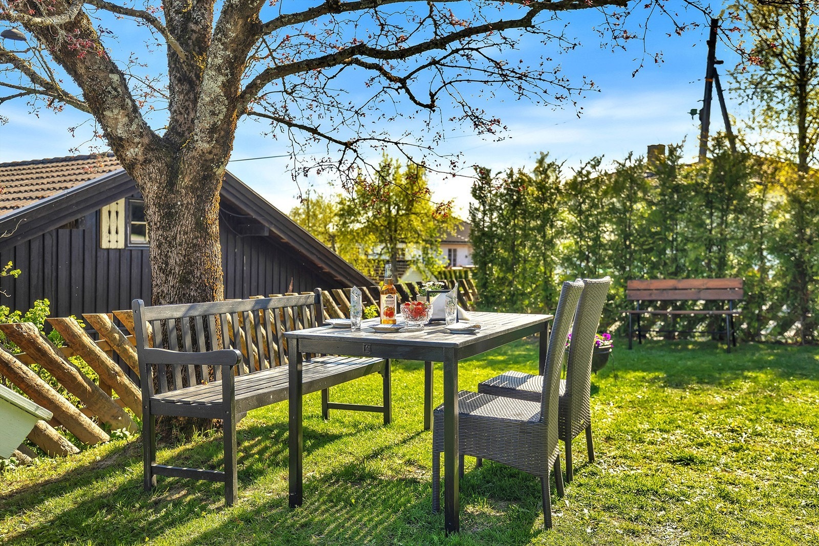 Sommerstemning i hagen Galleribilde