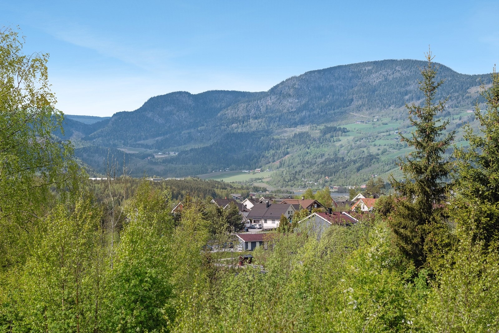 Utsikt fra området. Galleribilde