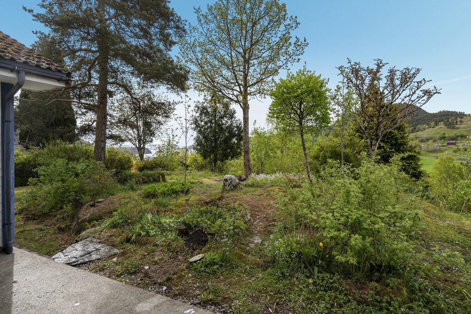 Hagen har et stort potensiale - mange muligheter for den rette kjøper Galleribilde