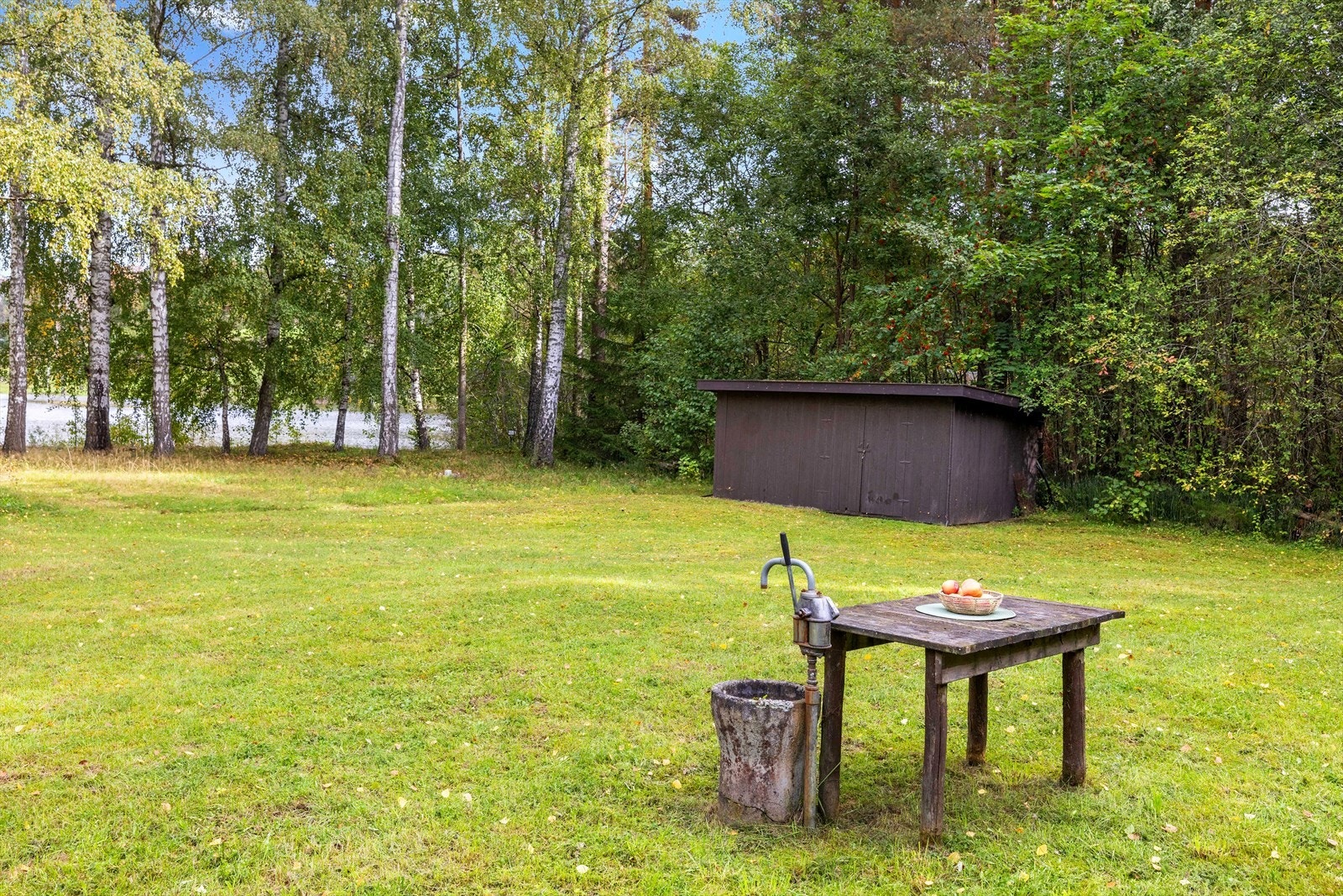 I hagen er det håndpumpe for vann med ukjent type brønnløsning Galleribilde