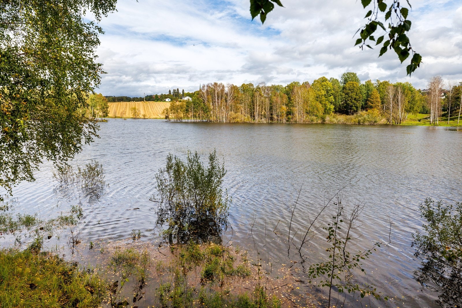 Innsjøen har forbindelse til Storelva gjennom en kort og smal kanal Galleribilde