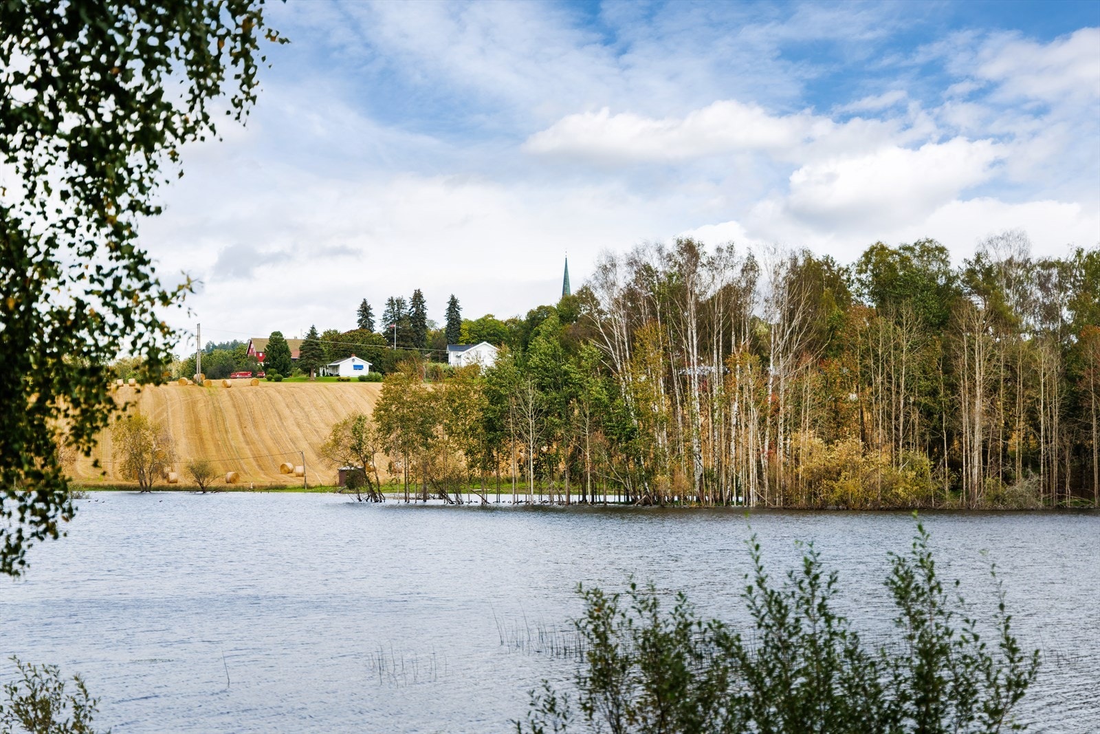 Hele området er svært betydningsfullt for trekkfuglene . Du ser Norderhov kirke rett frem Galleribilde