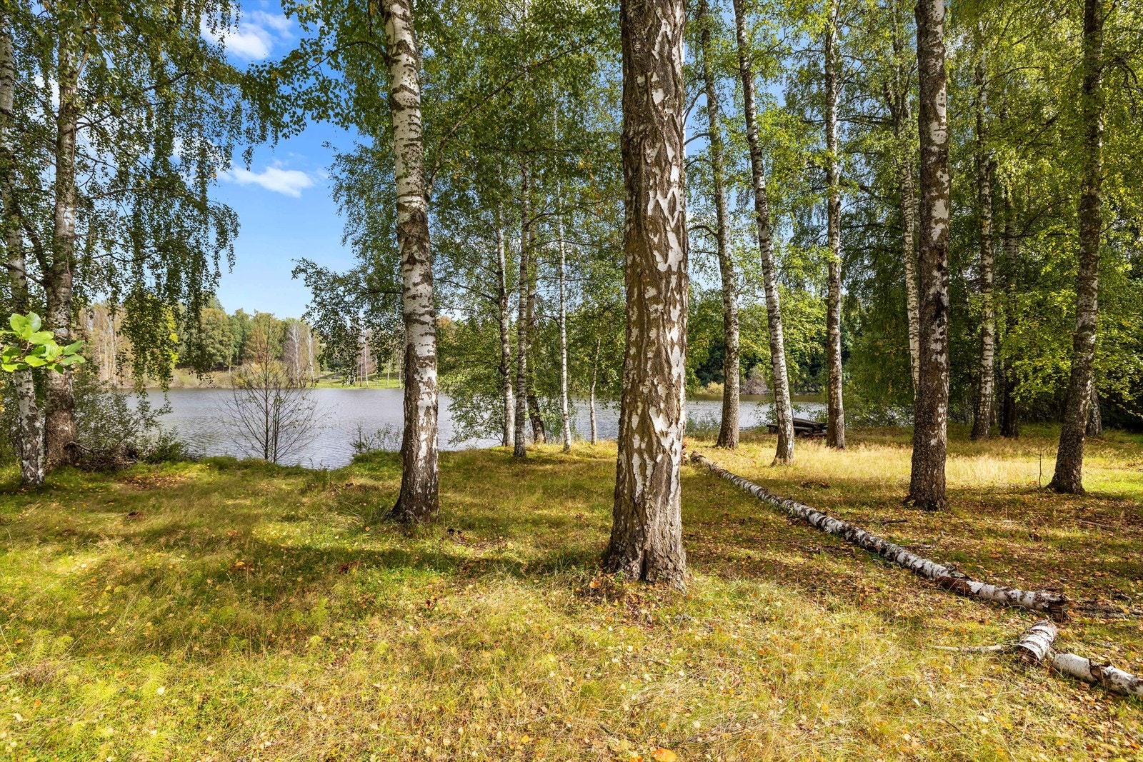 Beliggende på Froksøya ved Juveren Naturreservat ved Norderhov Galleribilde