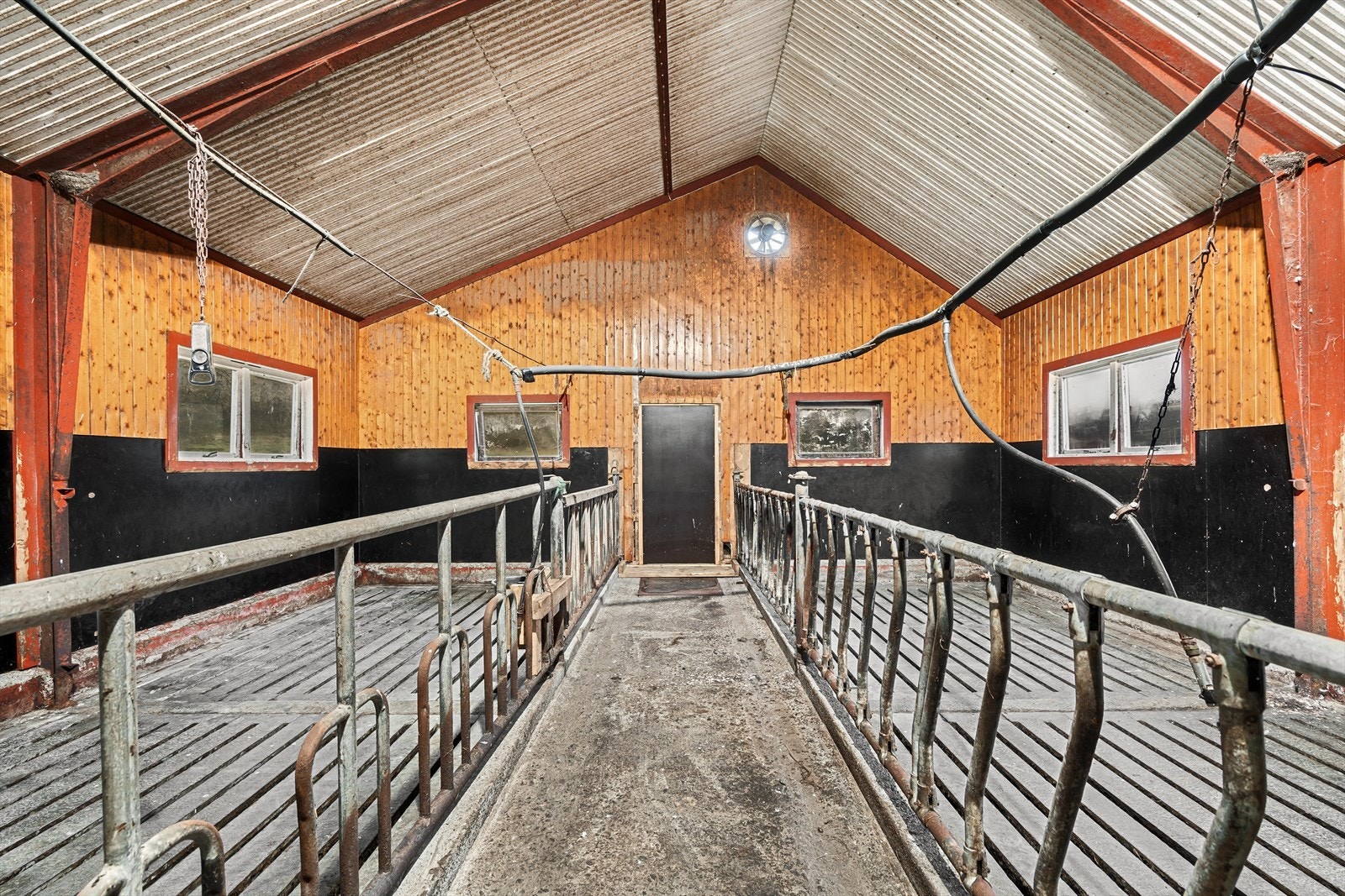 Det er innredet for binger og 6 liggebåser til 20 dyr. Galleribilde