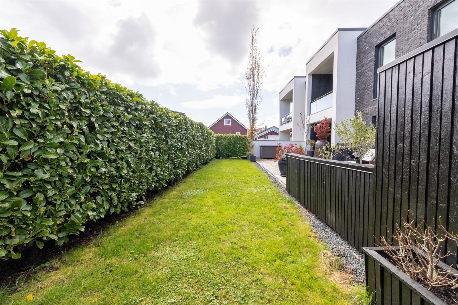 Plen og beplantning sør for markterrassen - skjermet med laubærhekk Galleribilde