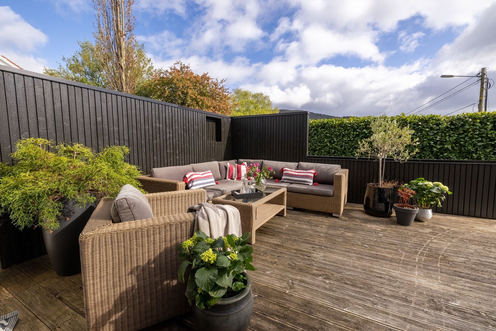 Markterrassen er skjermet med levegg og laurbærhekk Galleribilde