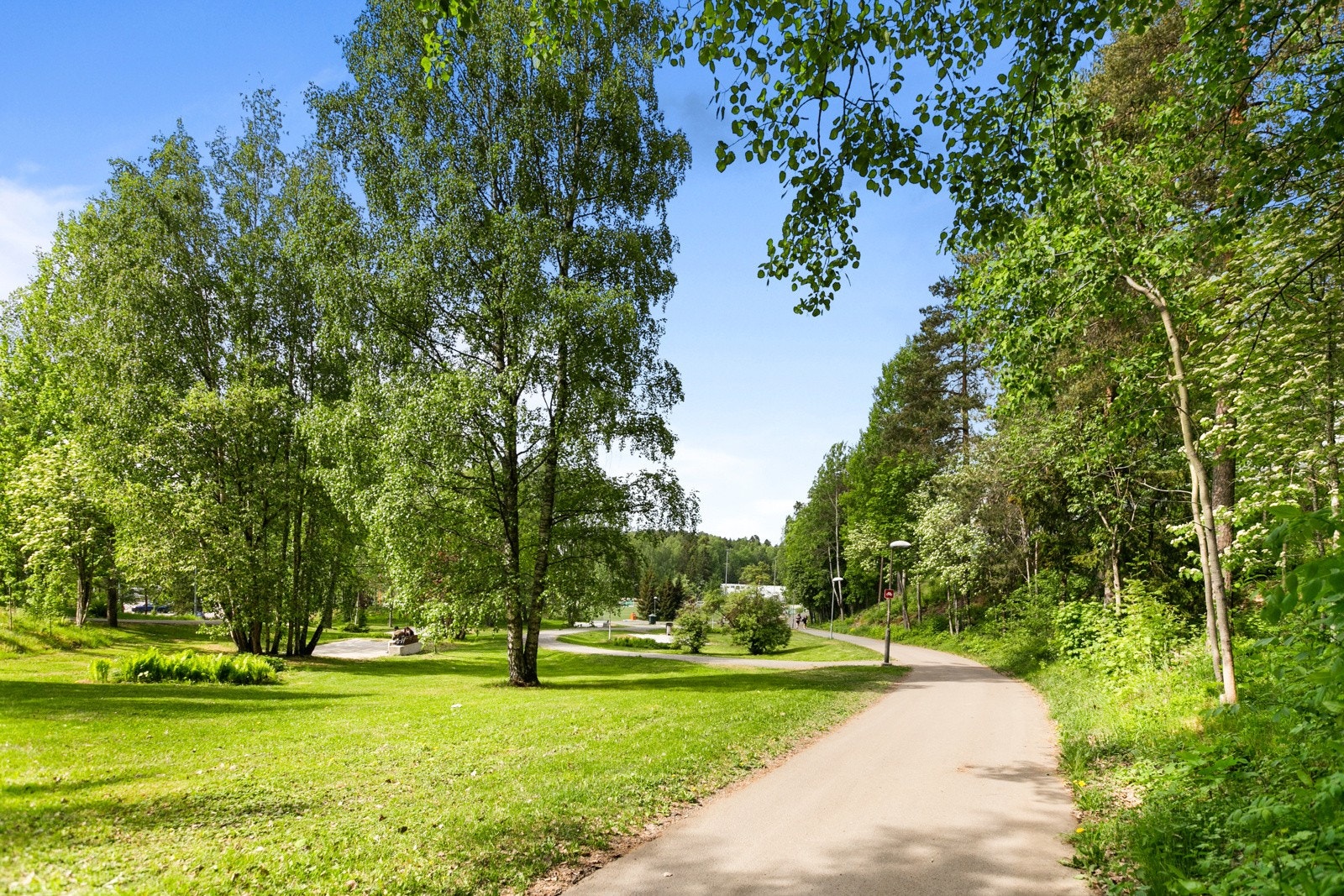 Fine turområder i nærheten. Galleribilde