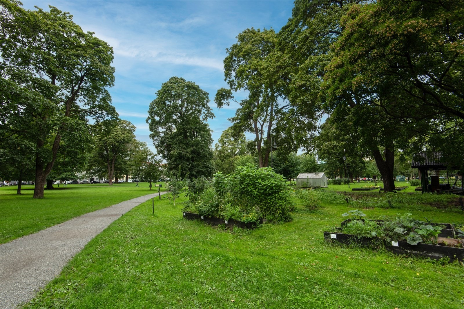 Sofienbergparken er en sikker vinner. Galleribilde