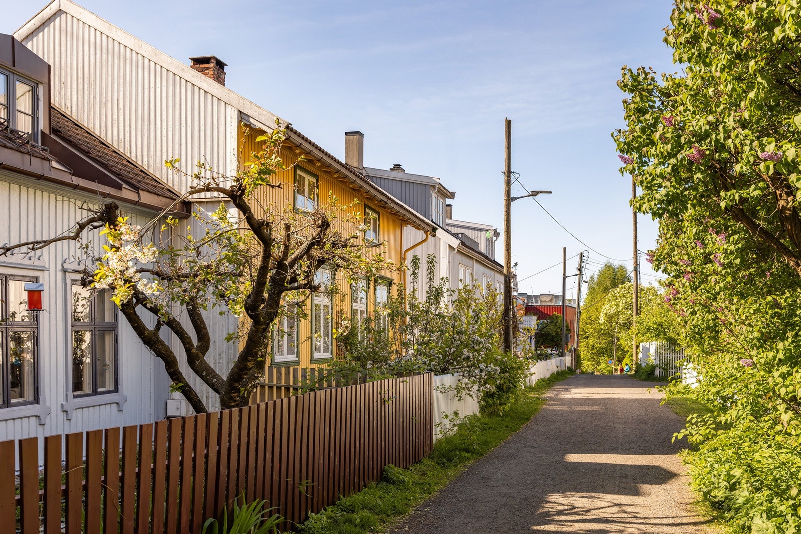 Leiligheten har en attraktiv beliggenhet på Rodeløkka. Et svært sjarmerende område kjent for sin eldre trehusbebyggelse. Galleribilde