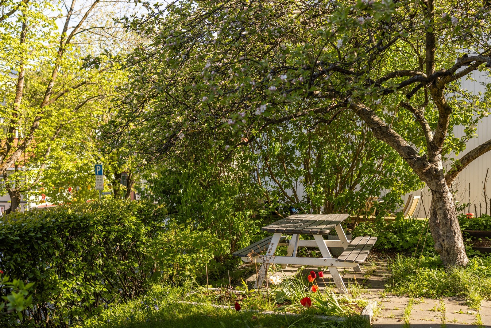 Skjermet og tilbaketrukket, likevel svært sentralt! Hyggelig bakgård for borettslagets beboere. Galleribilde
