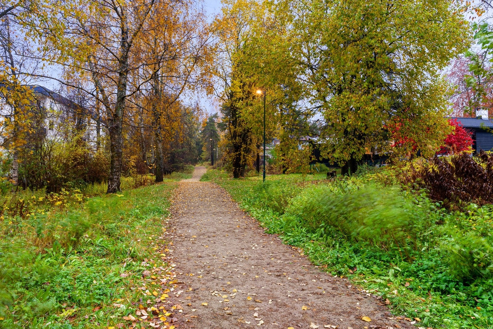 Det er flotte turmuligheter i nærmiljøet. Galleribilde