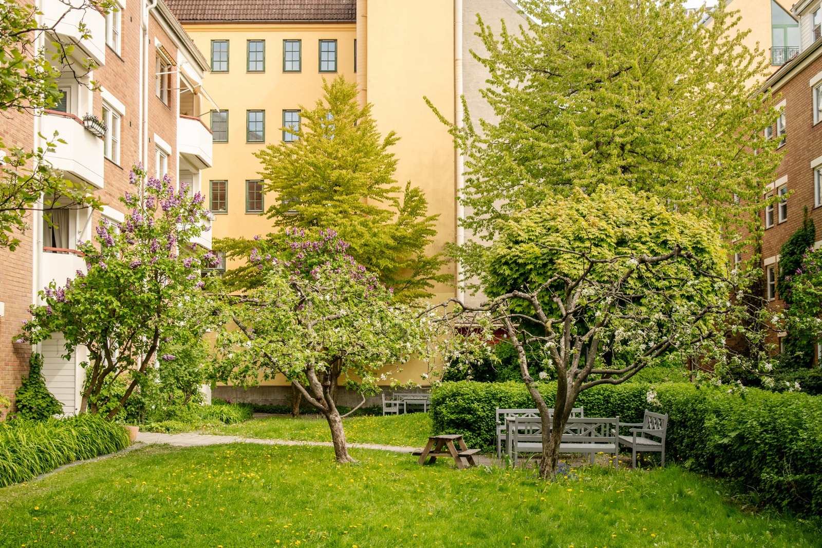 Den frodige hagen byr på vakre prydbusker, velholdte grøntarealer og hyggelige sittegrupper som inviterer til sosiale stunder og avslapning i solen. Galleribilde