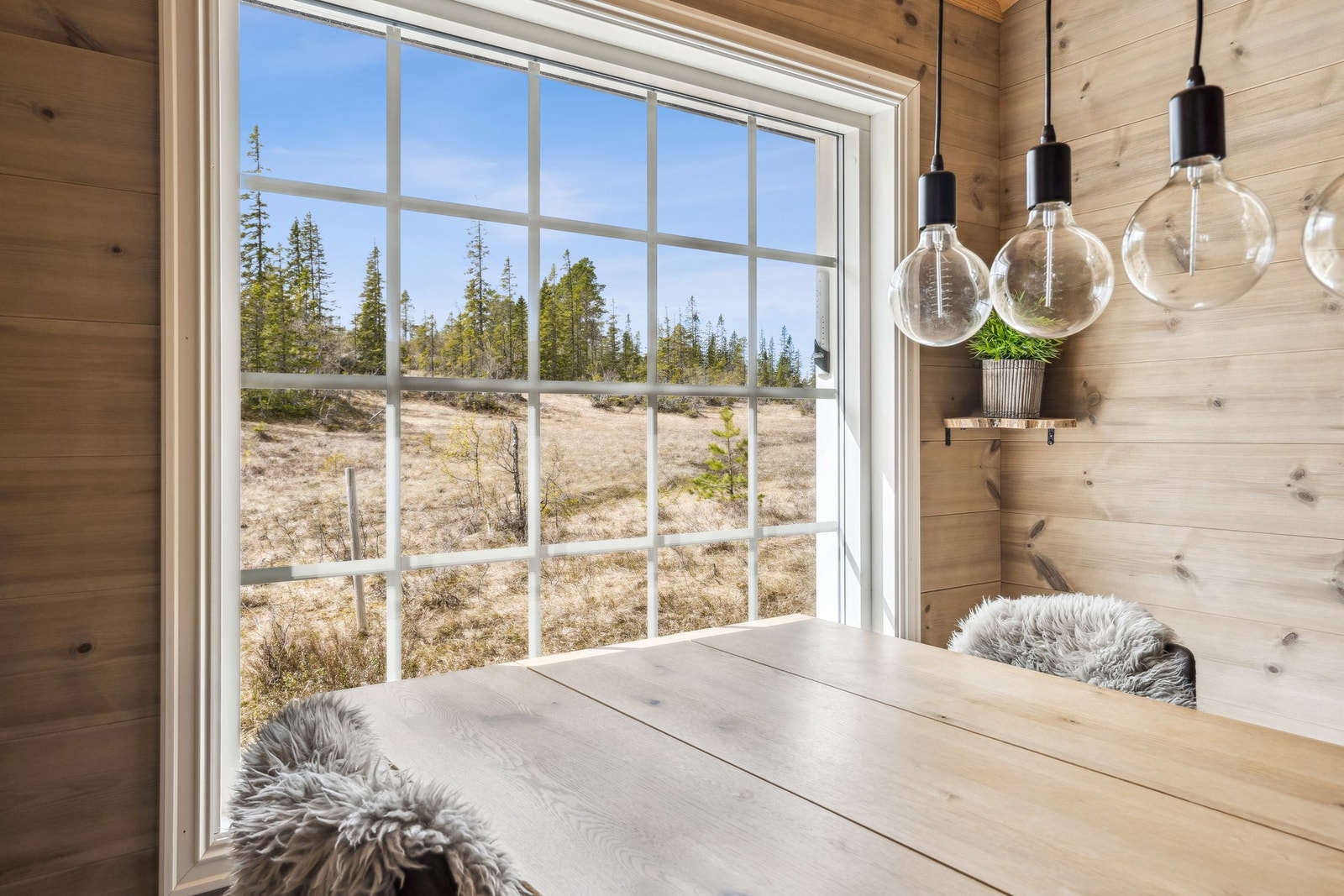 Flott naturutsikt fra vindu ved spisebord. Galleribilde