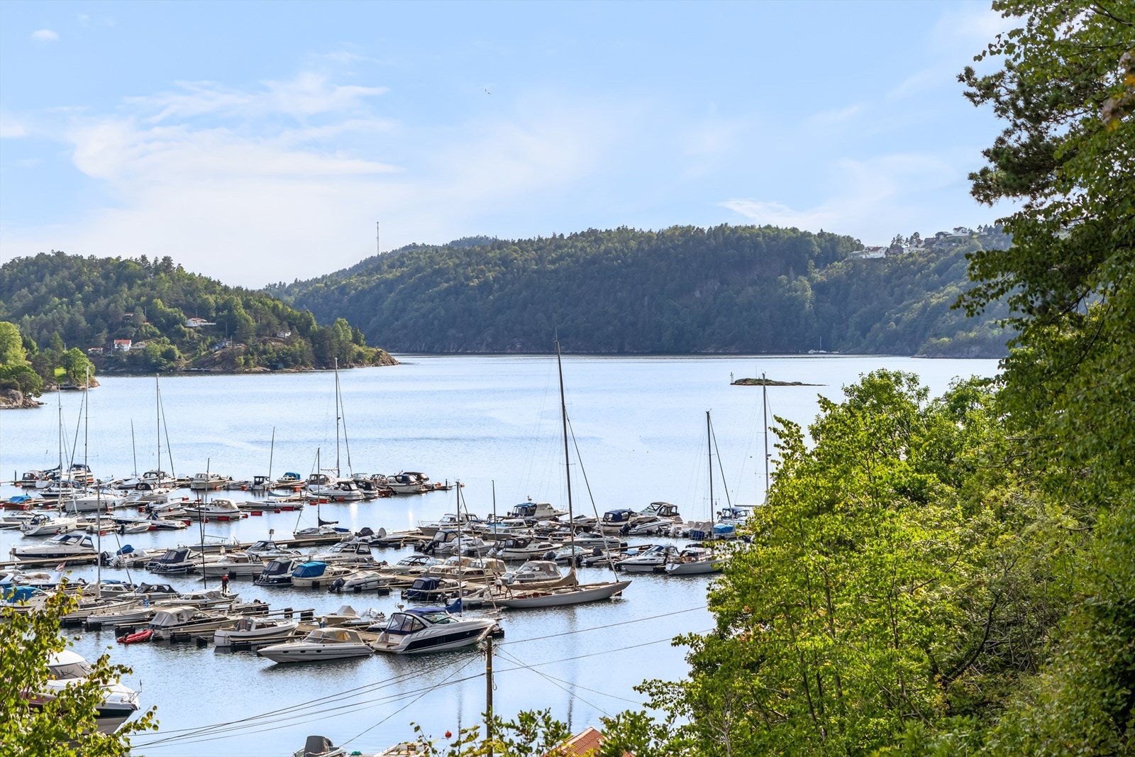 Utsikten fra eiendommen Galleribilde