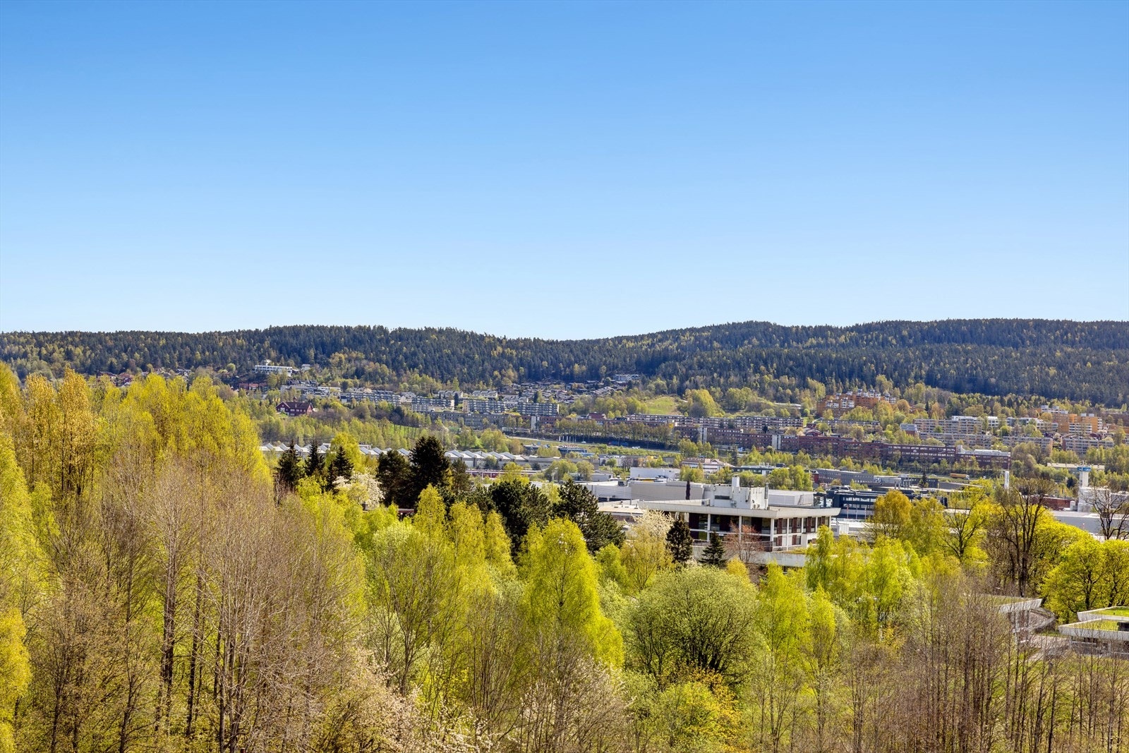 Fra stuevinduet er har du fantastisk utsikt over frodige omgivelser. Galleribilde