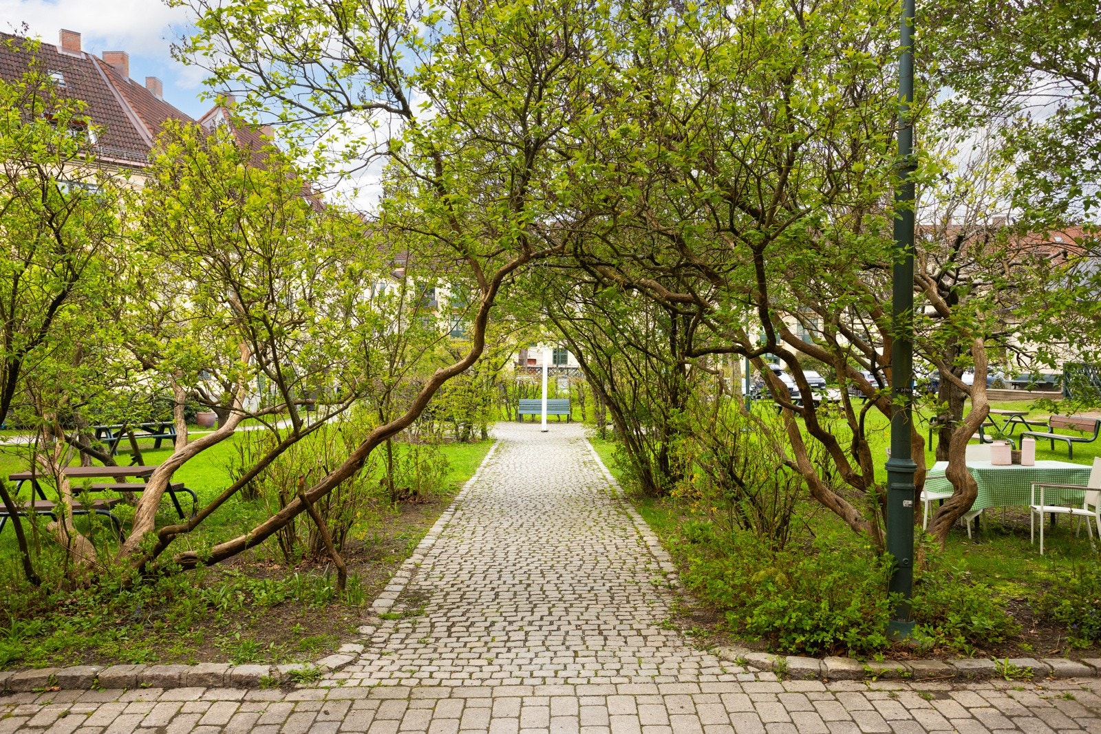 Bakgården er svært forseggjort med store plenområder, trær - bl.a. plomme- og epletrær. Galleribilde
