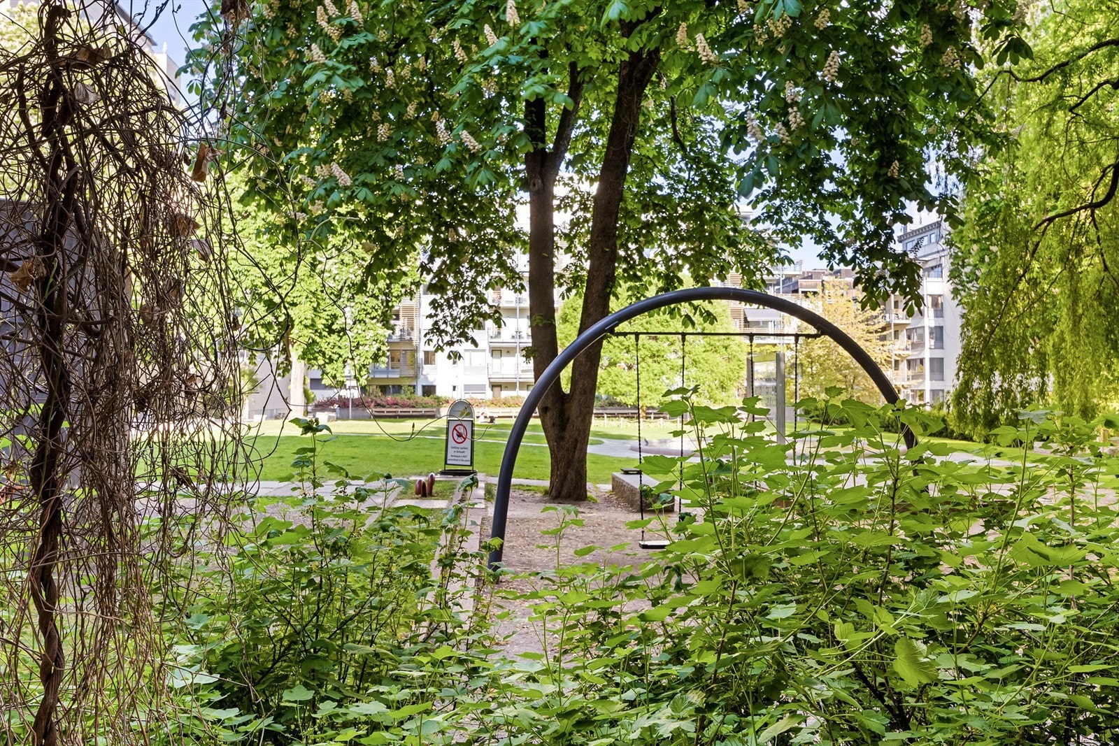 Grønt og frodig utsyn fra terrassen. Galleribilde