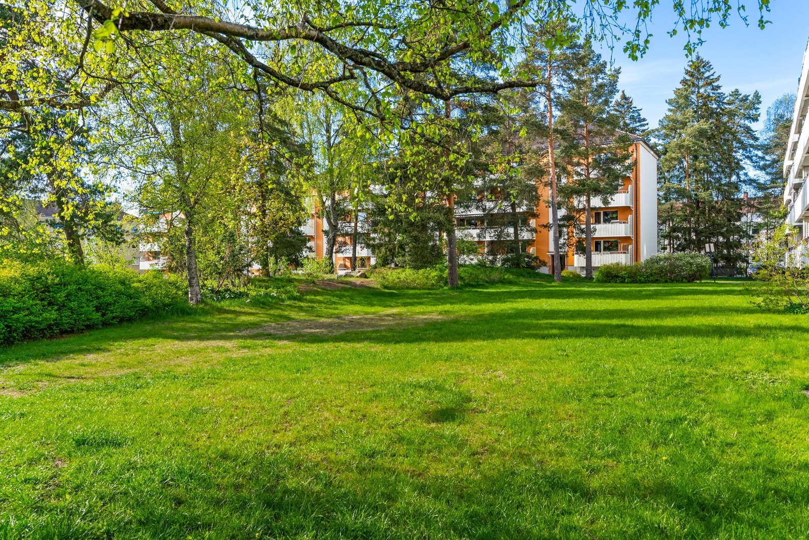 Fuglemyra borettslag prydes av store og grønne fellesområder med lekeplasser og diverse beplantninger. Galleribilde