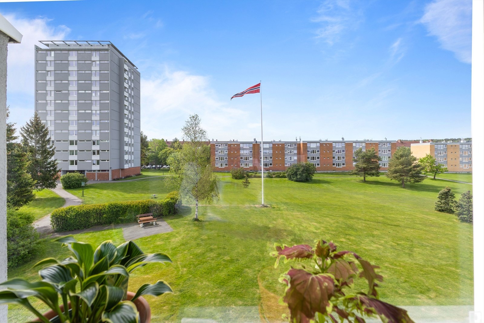 Velkommen til Rugveien 40 Galleribilde