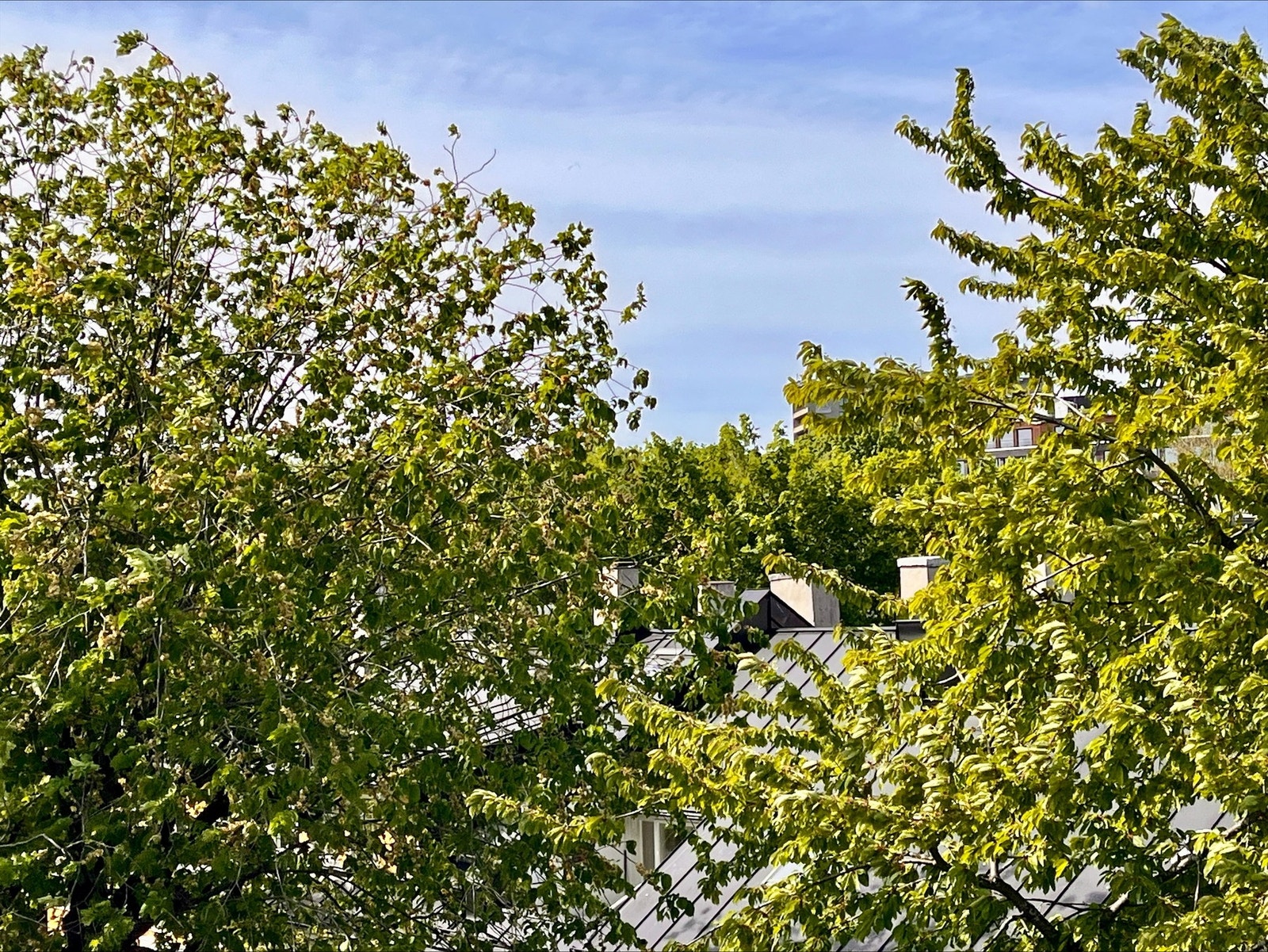 Frodig utsyn over nabolaget. Galleribilde