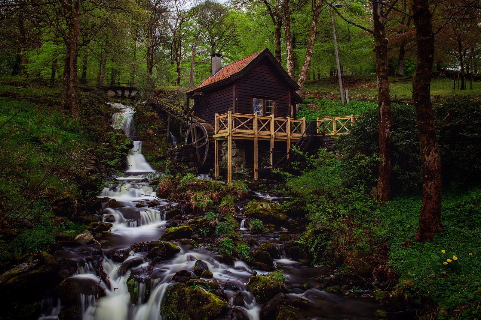 - Christieparken ligger like over veien og er et flott sted for en spasertur eller til å nyte finværet - Galleribilde