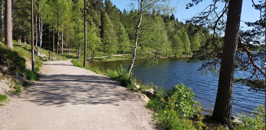 Det er mange gode idretts/friluftstilbud i nærmeste radius - Idrettshøyskolen og Sognsvann har skøytebane, skiløyper, løpebane, svømmehall, fotballbaner. Domus Atletica har svømmehall og treningssenter. Bergbanen har skøytebane. Havnabakken og Damefallene Galleribilde