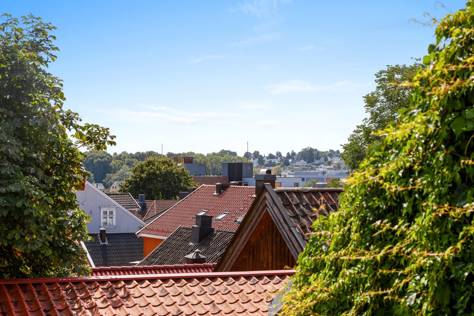 Hyggelig utsikt. Galleribilde