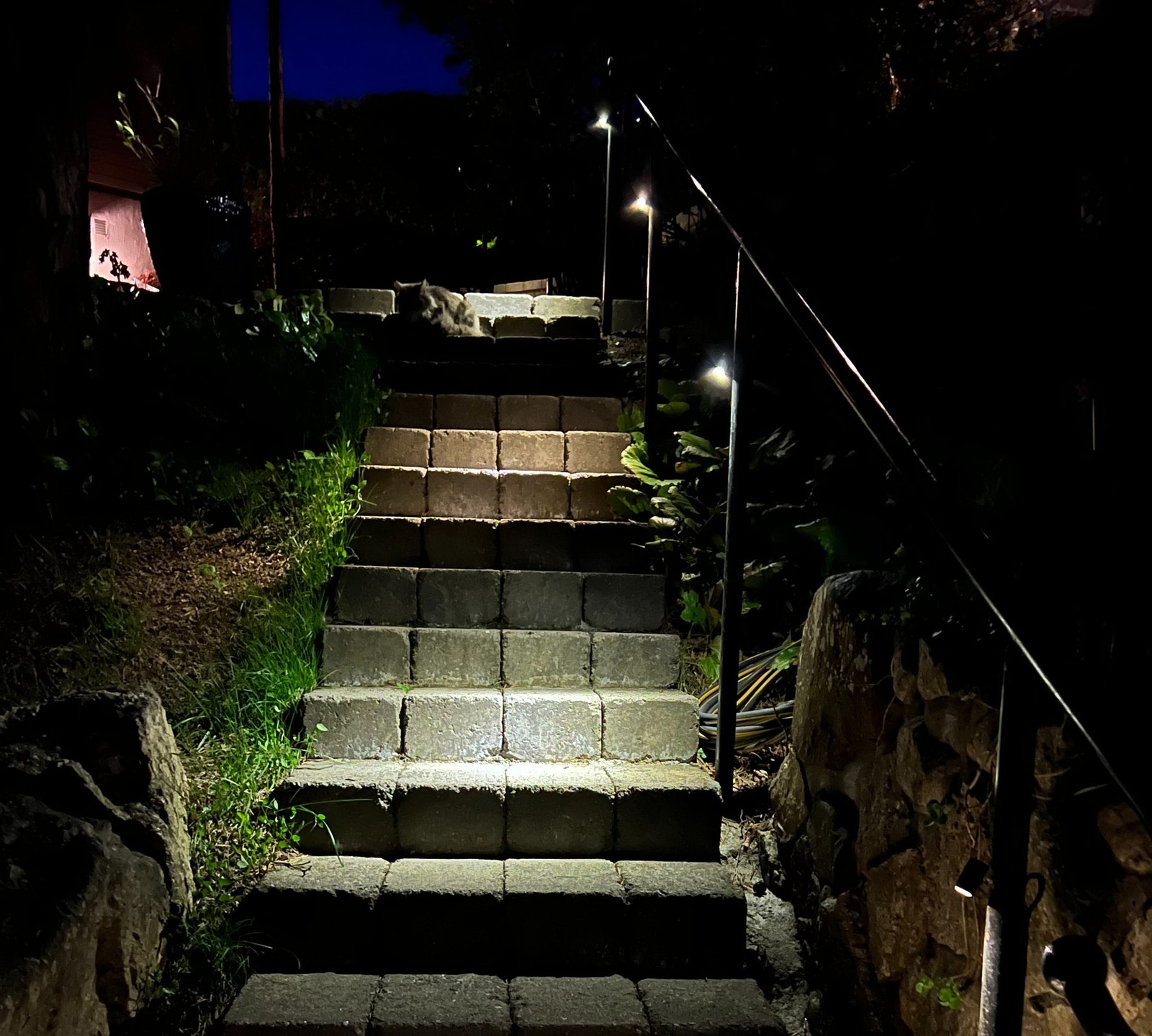 Fin kveldsbelysning Galleribilde