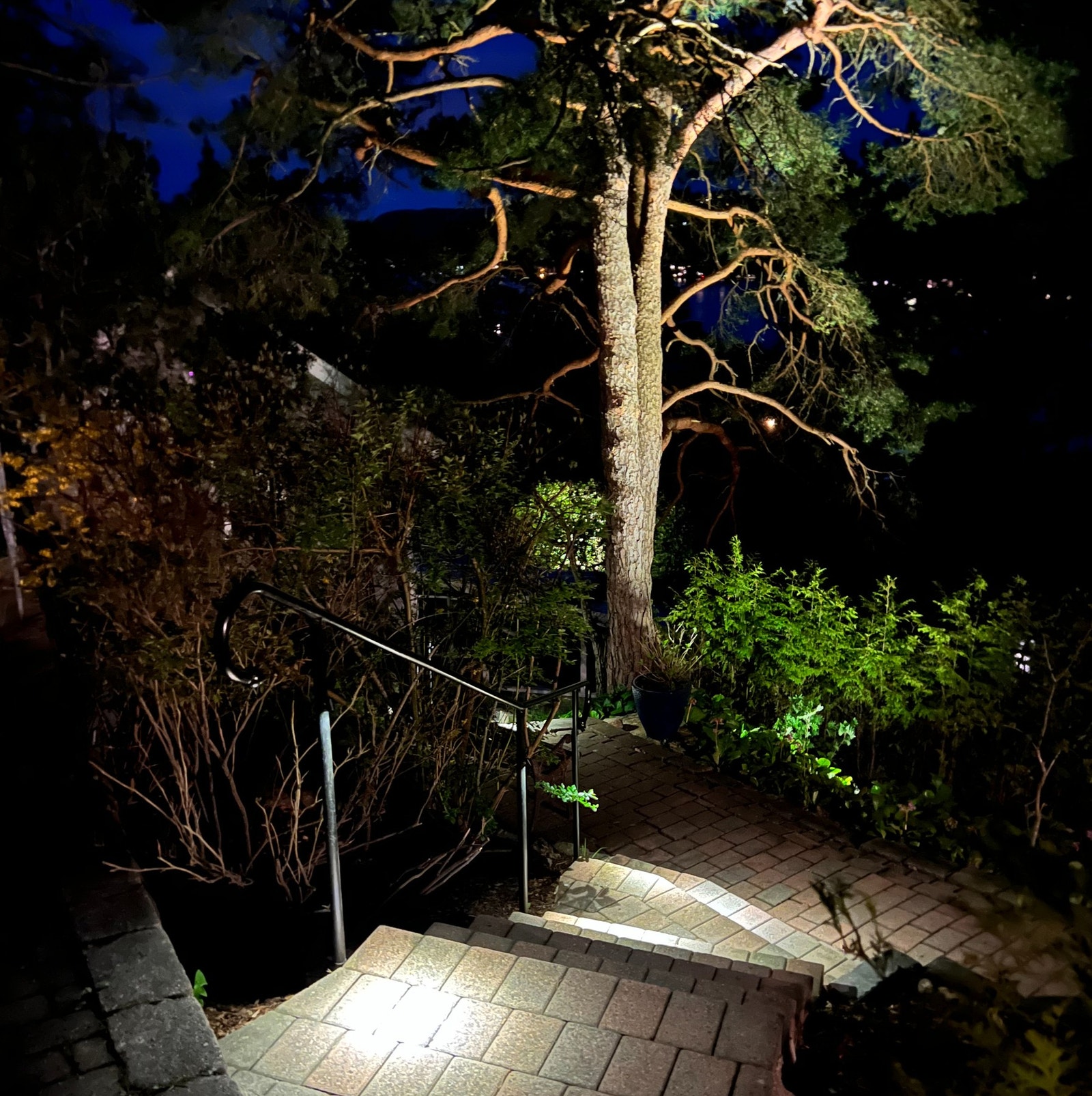 Kveldsbelysning i adkomst trapp Galleribilde