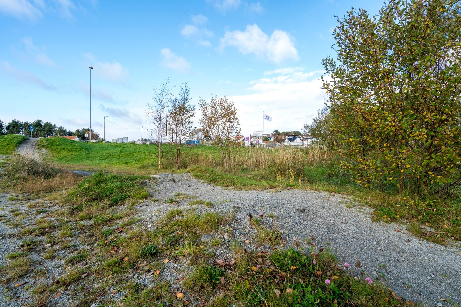 Nærområdet Galleribilde