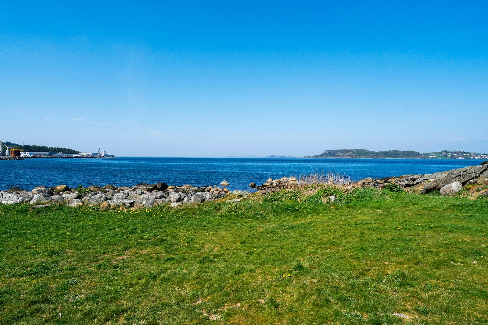 Nærområdet Galleribilde