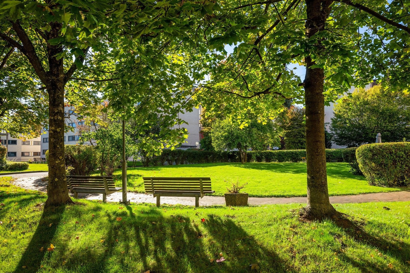 Nydelige store fellesområder. Galleribilde